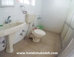Hotel Chube Leh Bathroom